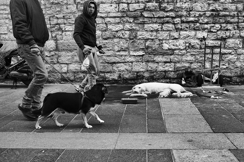 Tra finzione e realt�