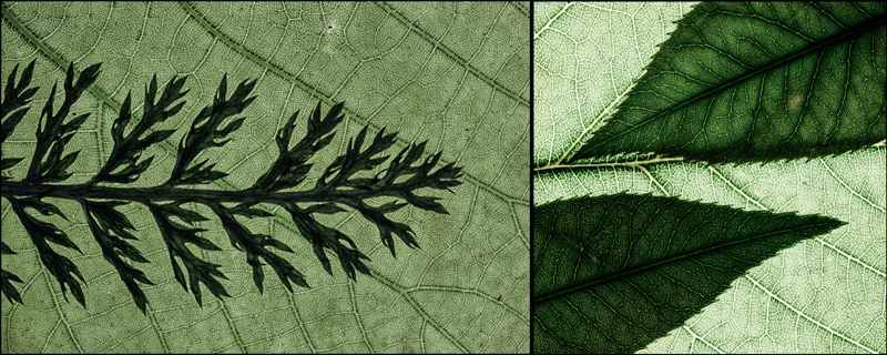 reinterpretation 07 - asymmetric diptych