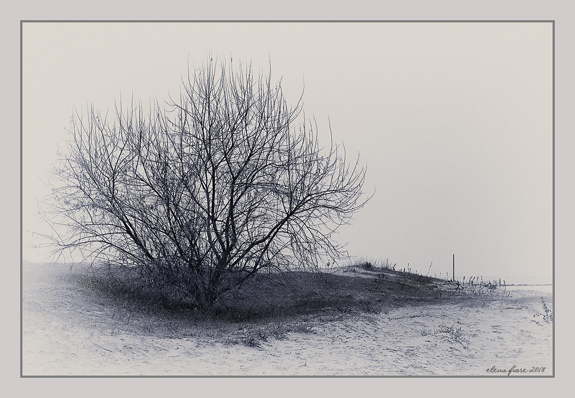 Mare d'inverno: dune