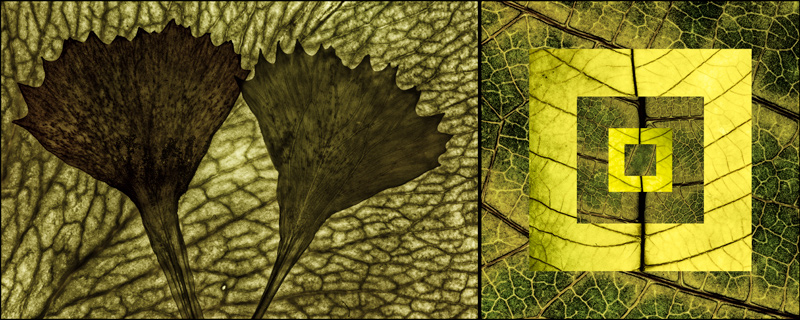Reinterpretation 01 - asymmetric diptych