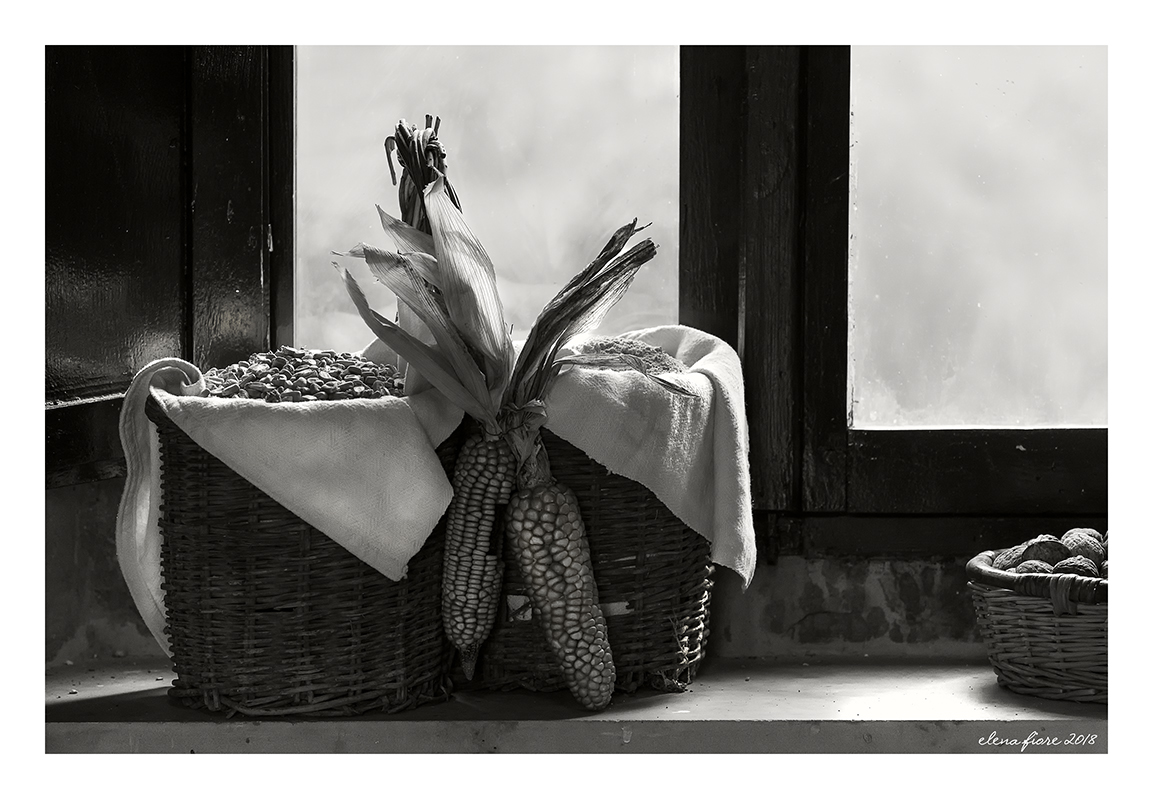 Or che il granturco fu raccolto ... (Ada Negri)