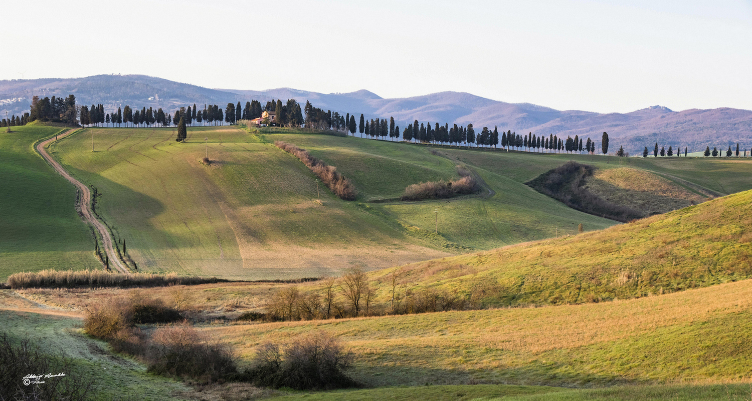 nelle colline..del silenzio..