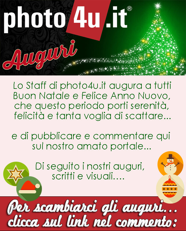 Auguri Natale 2018 - Buon Anno 2019