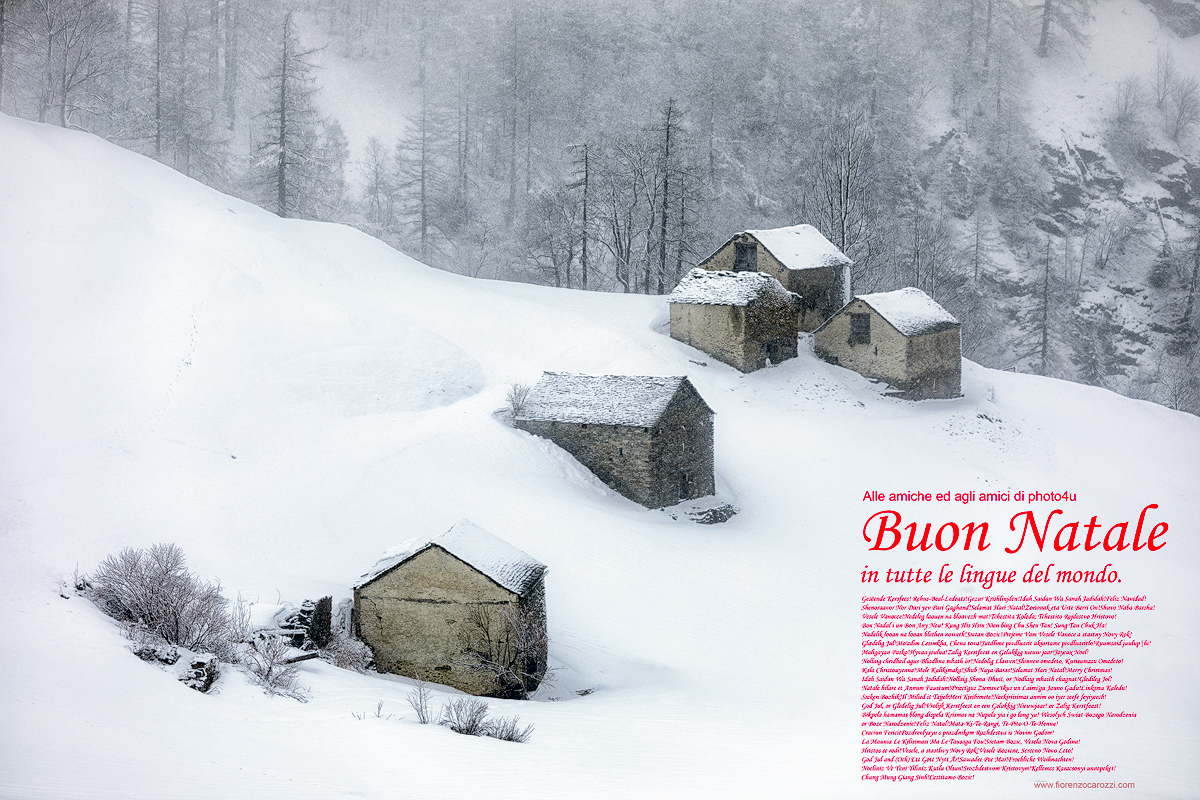 Buon Natale