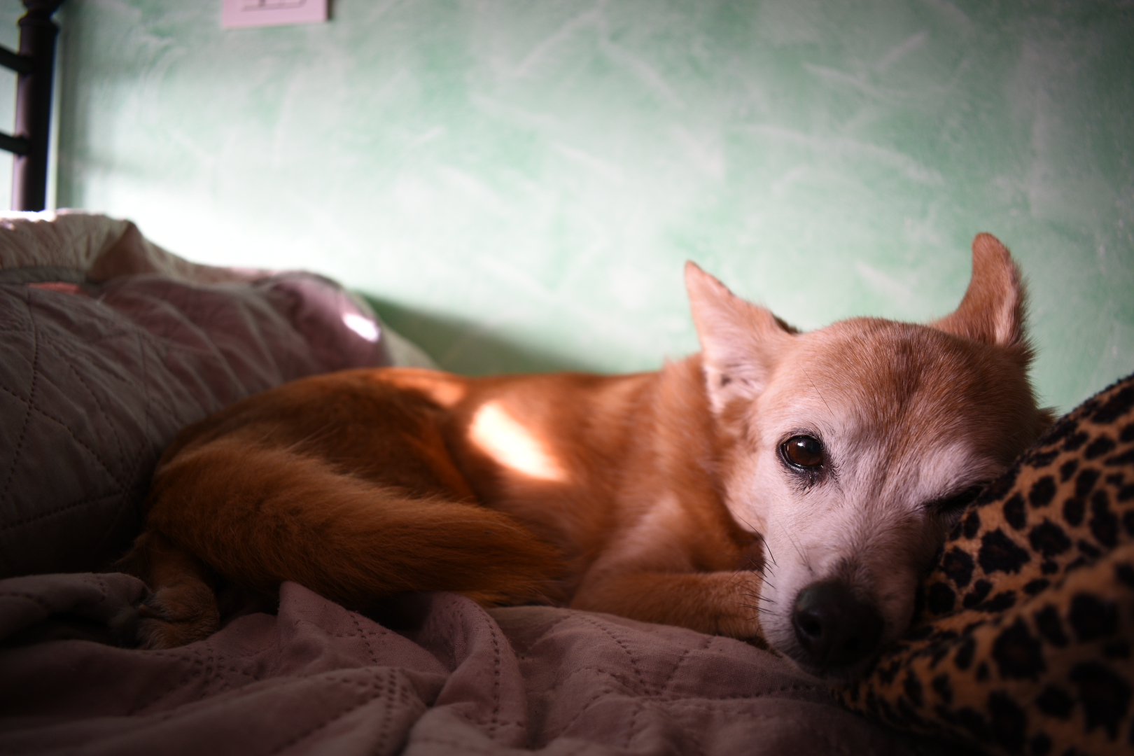 Test d3400 - importazione a 2 mpx