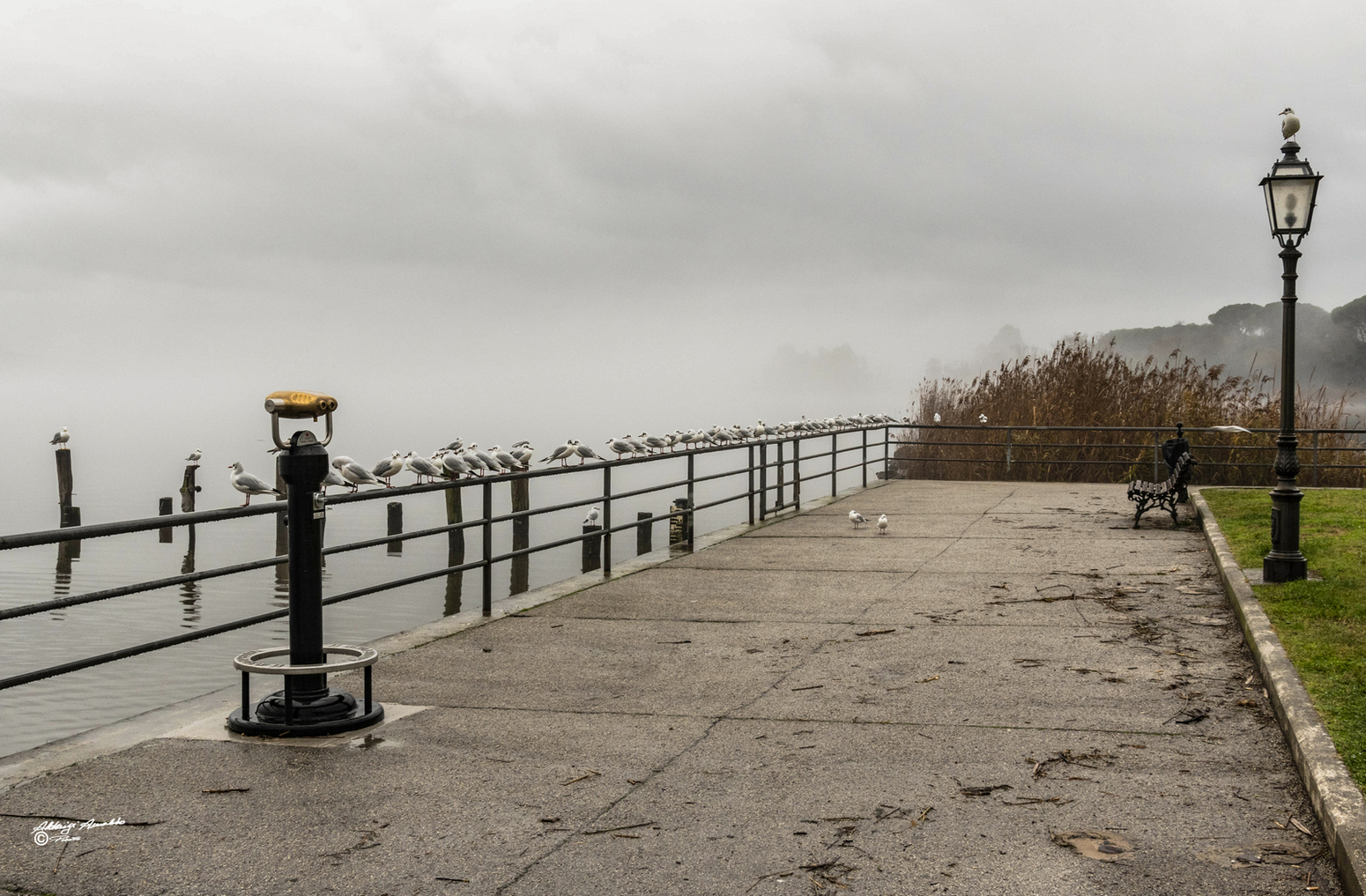 In Attesa Che la nebbia si dissolva..1