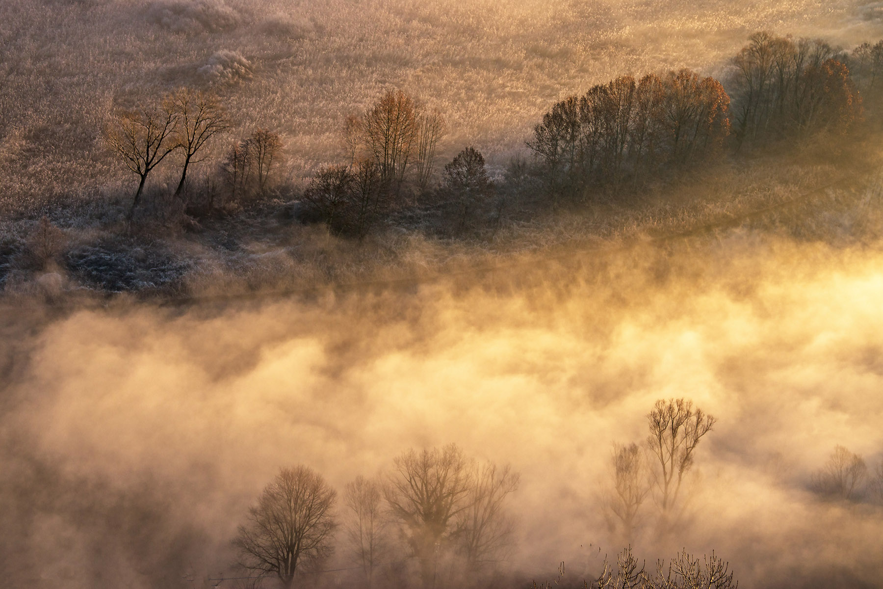 in mezzo scorre il fiume 2