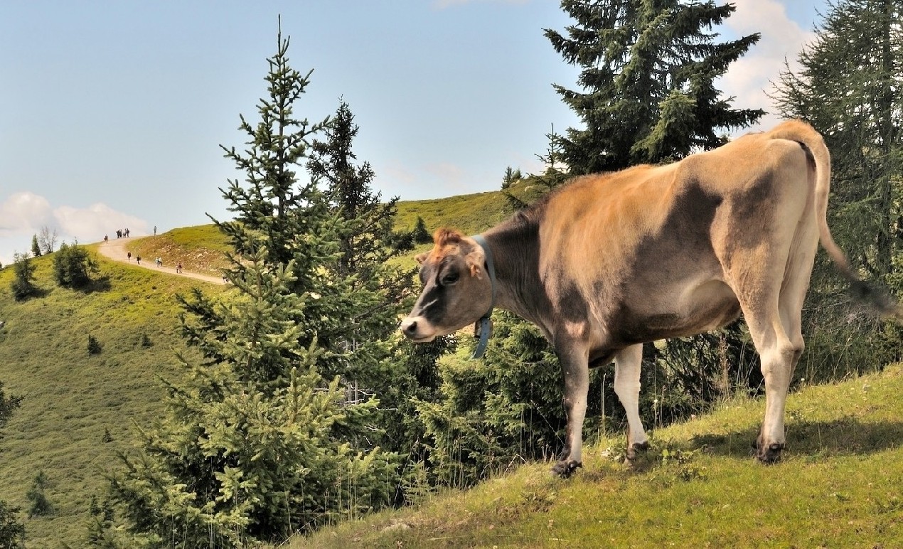 Va bene metter� anche te nel paesaggio!