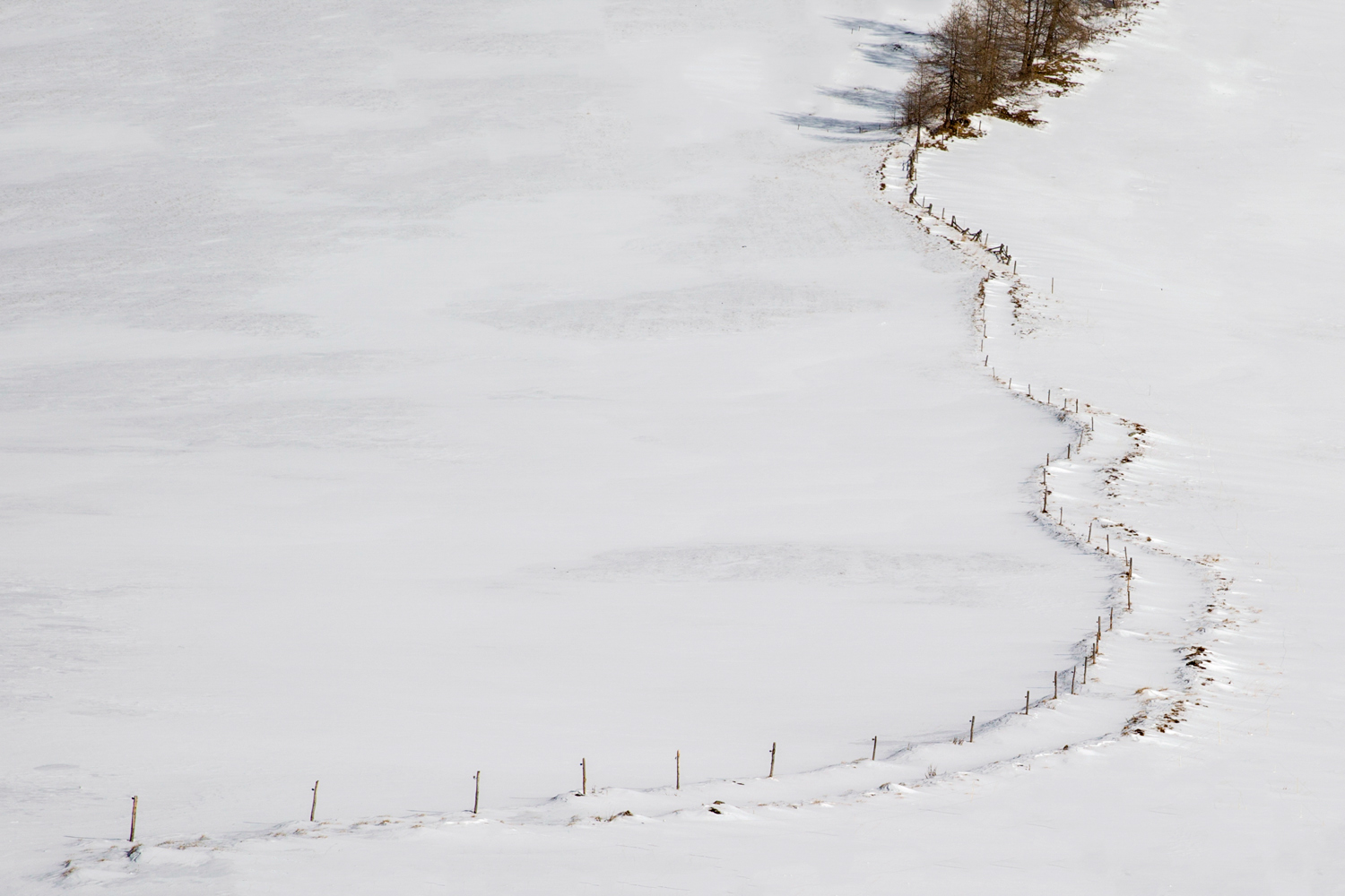 Il sentiero sulla neve