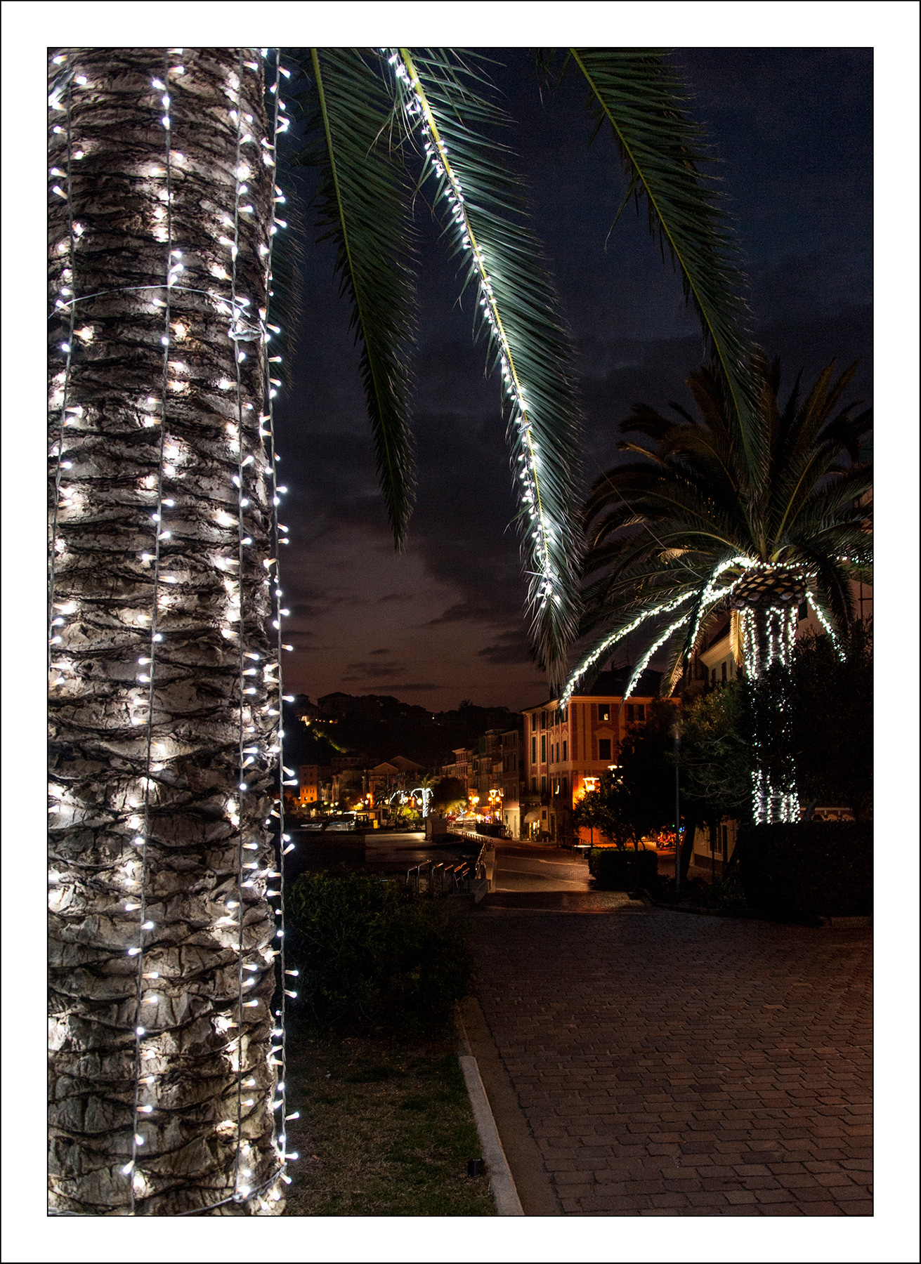 Luci ed ombre delle feste 3