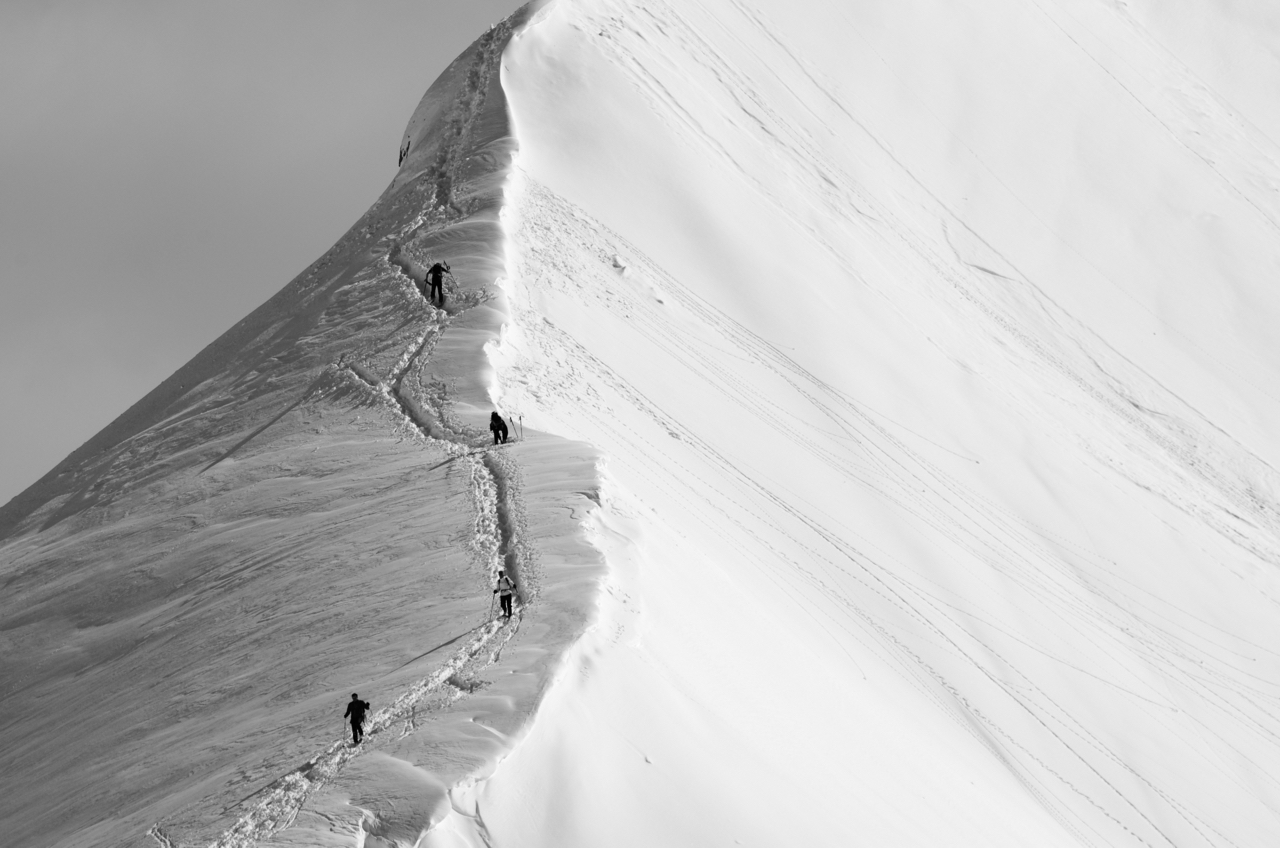 chi sale e chi scende