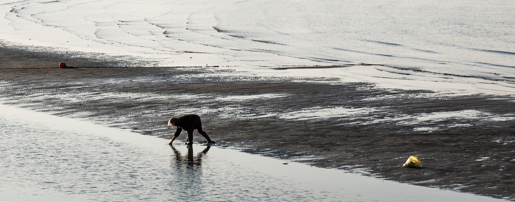 Pescatrice di vongole