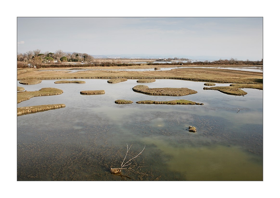 Isola della Cona (GO)