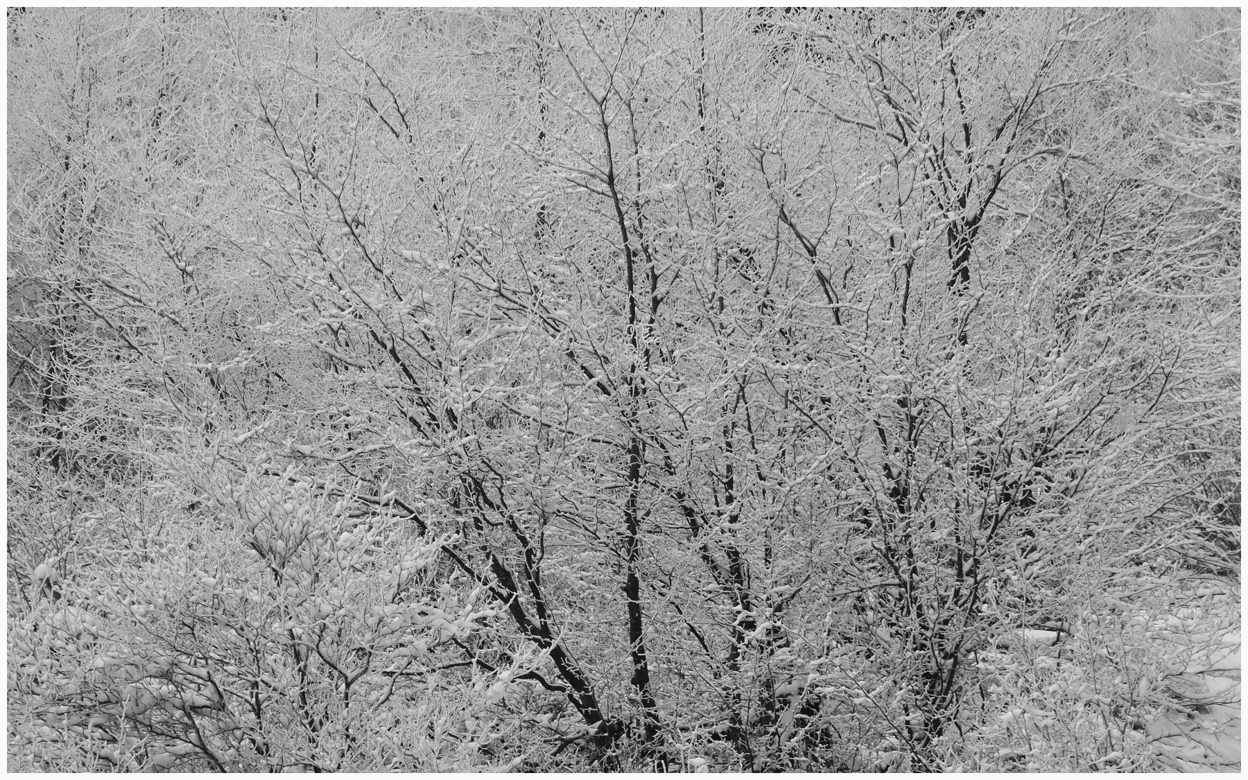 Inverno