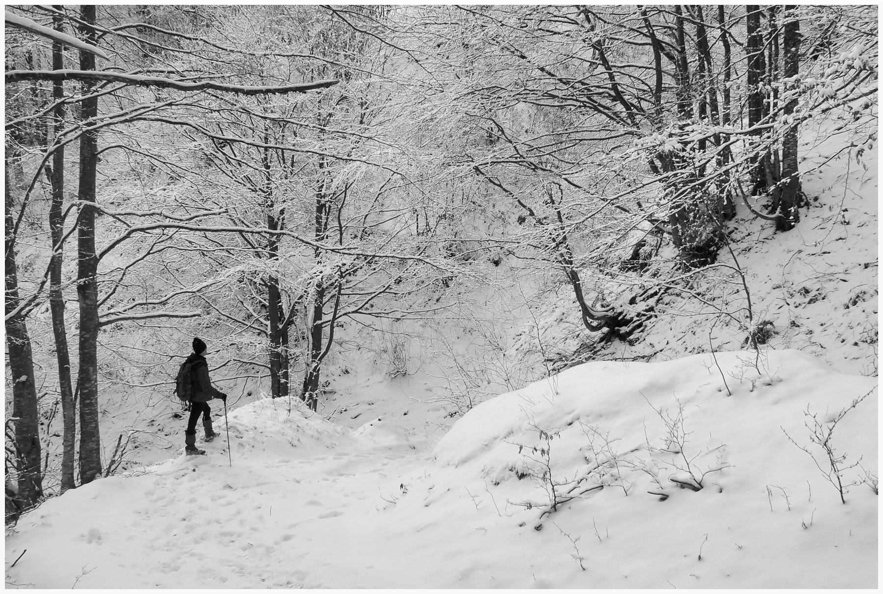 Autoscatto invernale