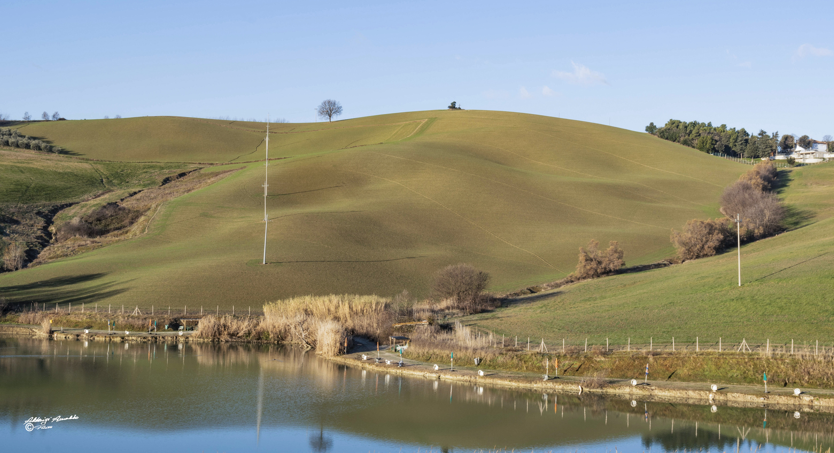Il primo verde.. della collina..