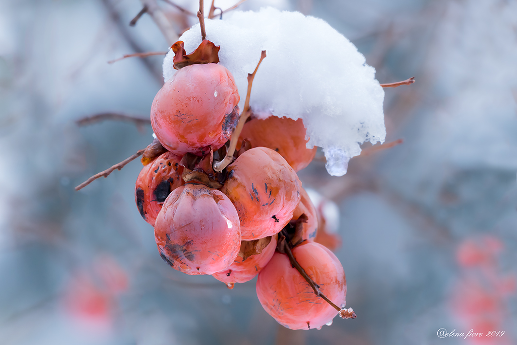 Quando l'autunno cede il passo all'inverno