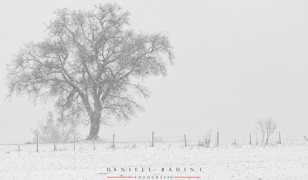 Lui � forte anche nella tempesta