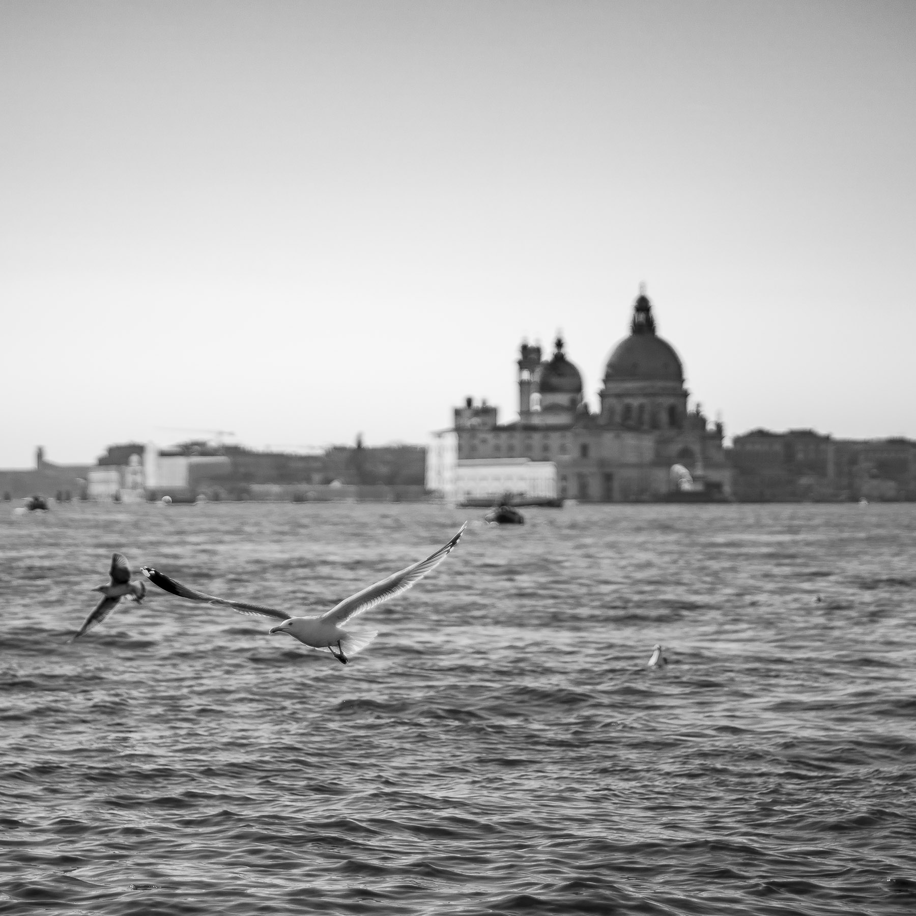 Com'� triste Venezia