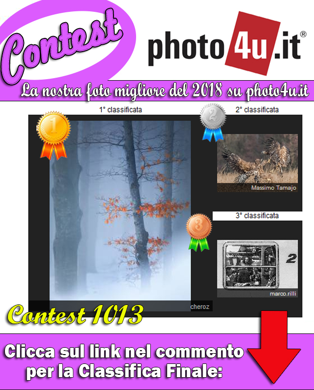 Contest n� 1013 Classifica finale