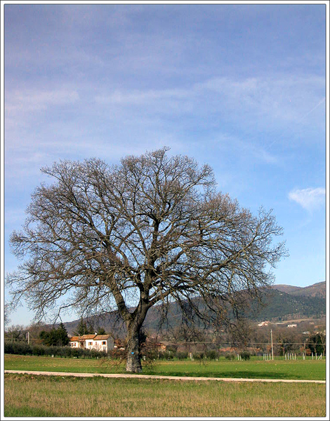 Paesaggio umbro!