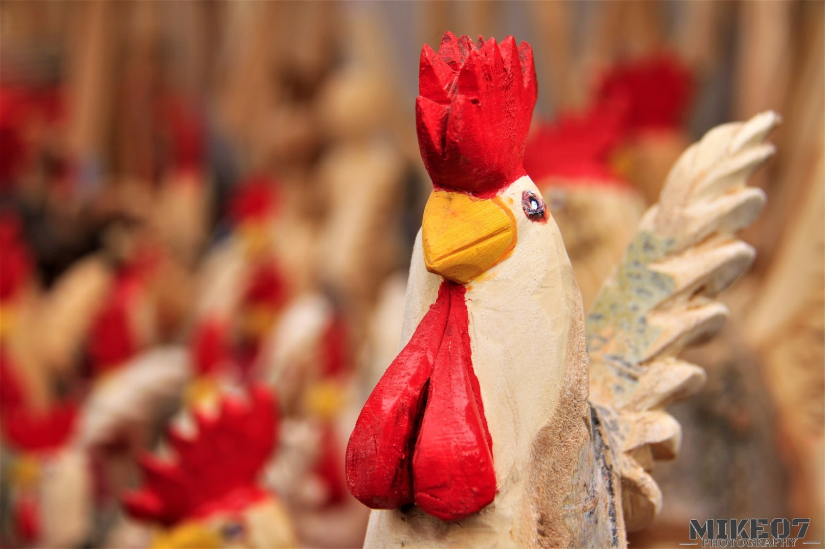 King of the henhouse