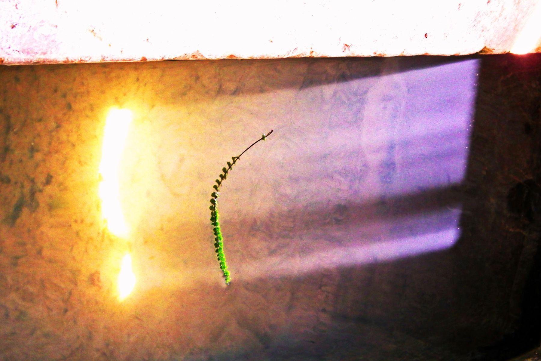 ....... e sia la luce !