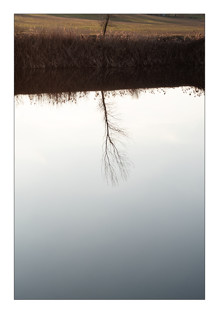 Monotonie colline padane