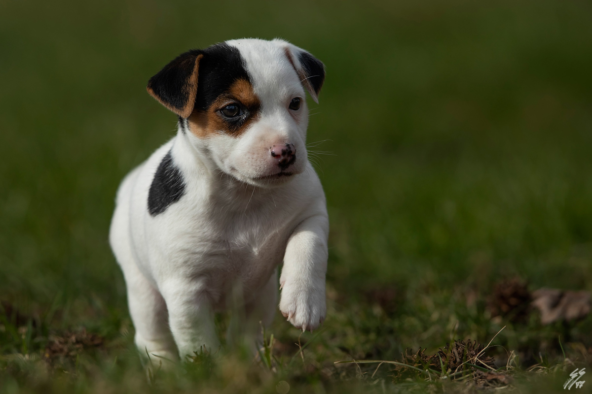 ..una piccola amica..