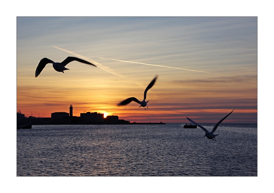 Fl�ght in the sunset