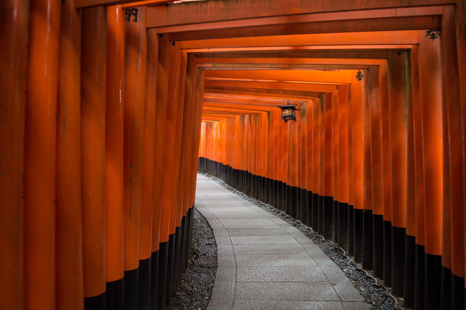 Fushimi inari