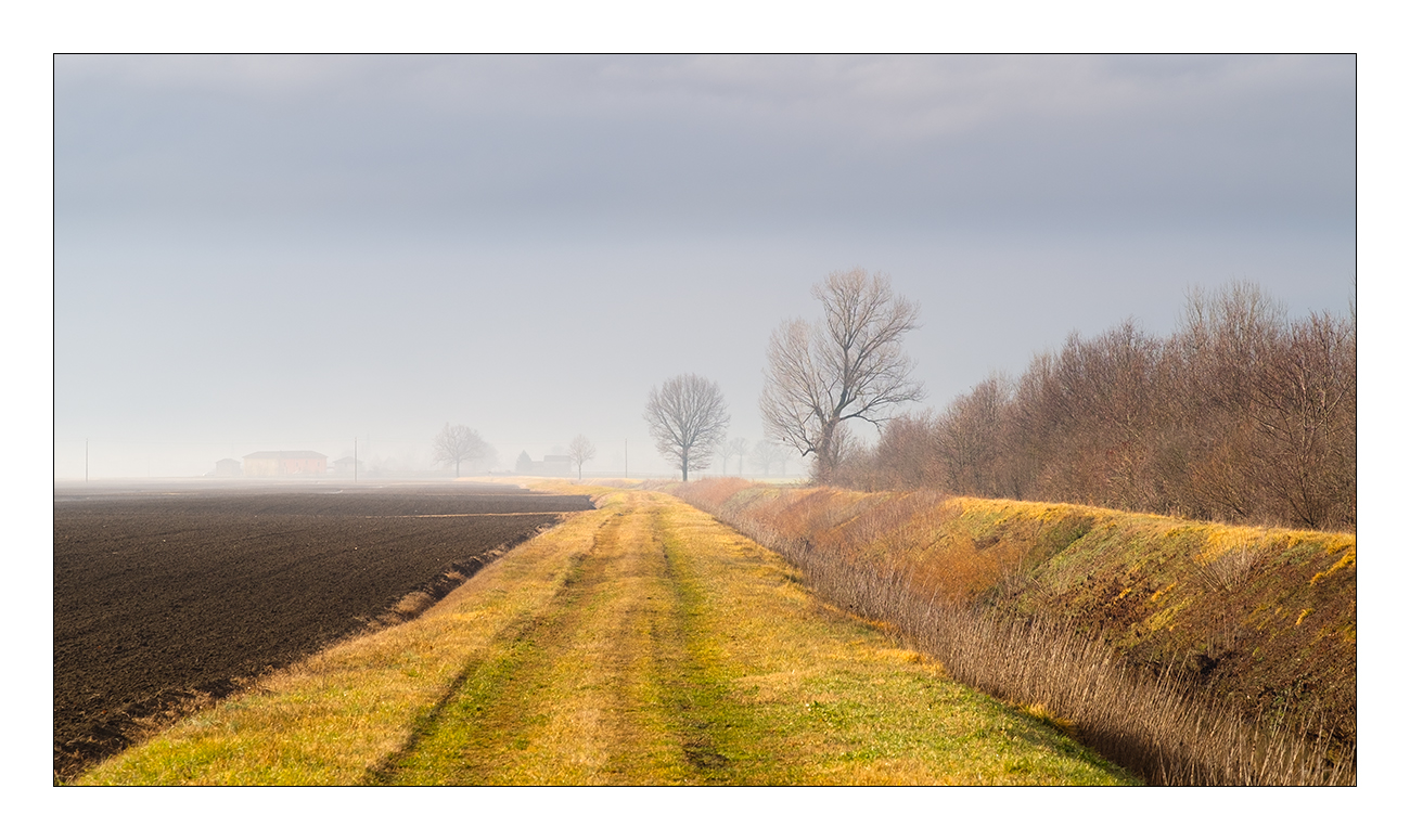 Quasi monotonia padana