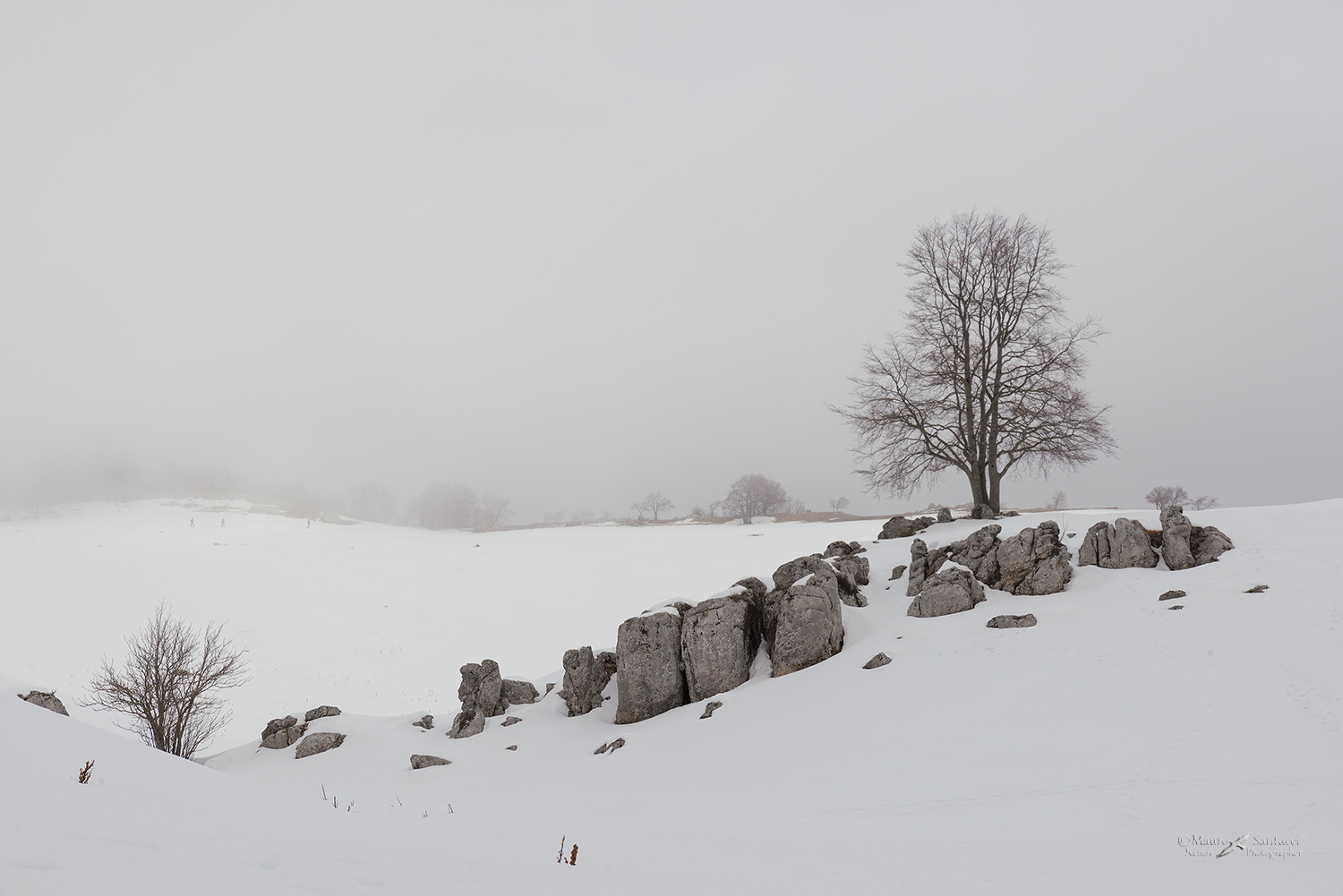 Snow-and-fog_DSC6563