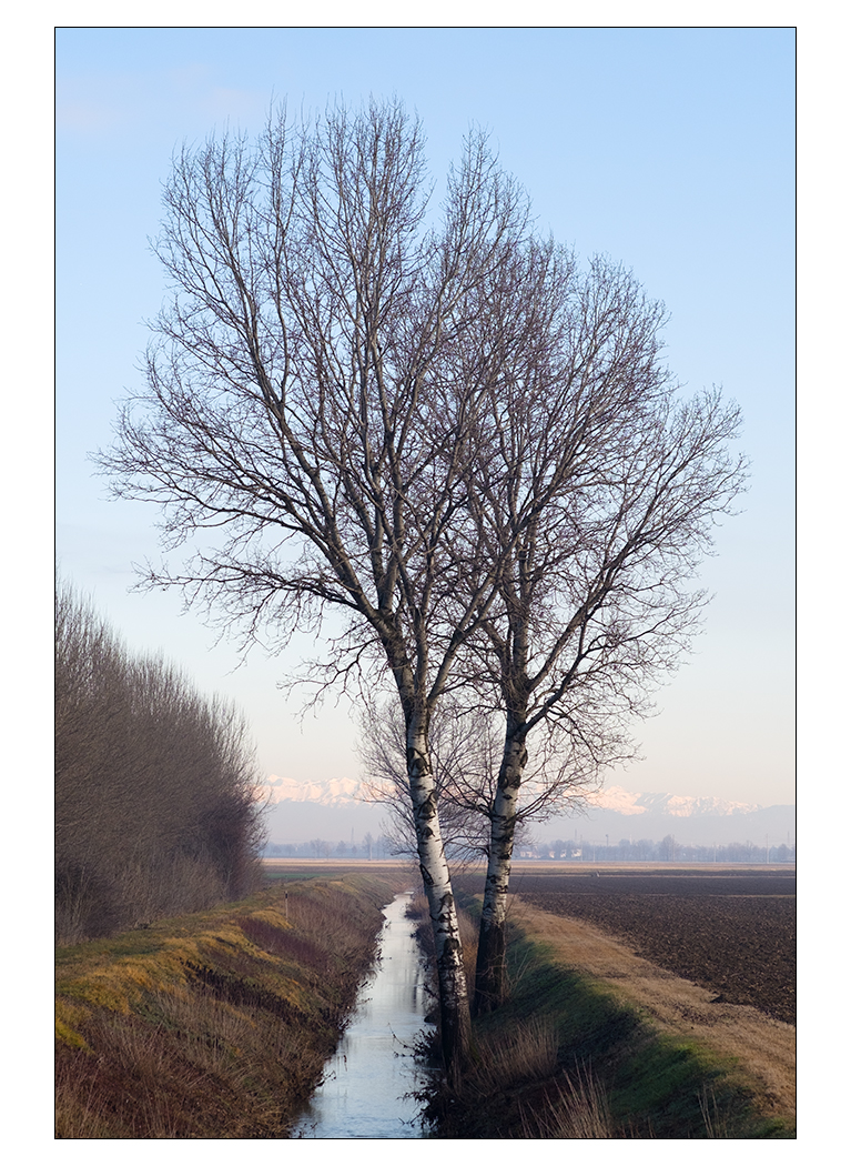 Dall'eridanea pianura all'Alpe