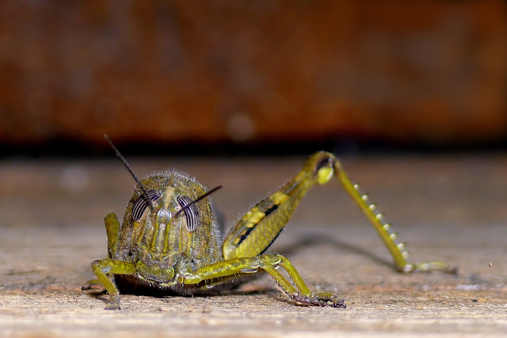 *** Freccia per svolta a sinistra ***
