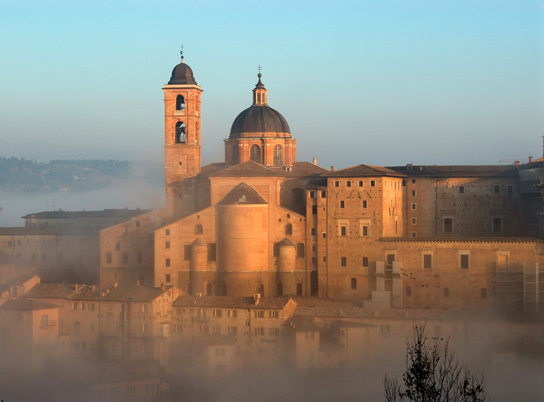 Urbino
