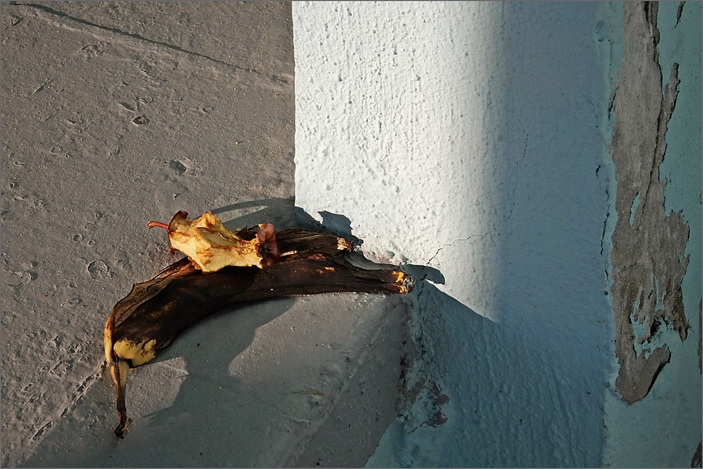 Quel che resta del giorno