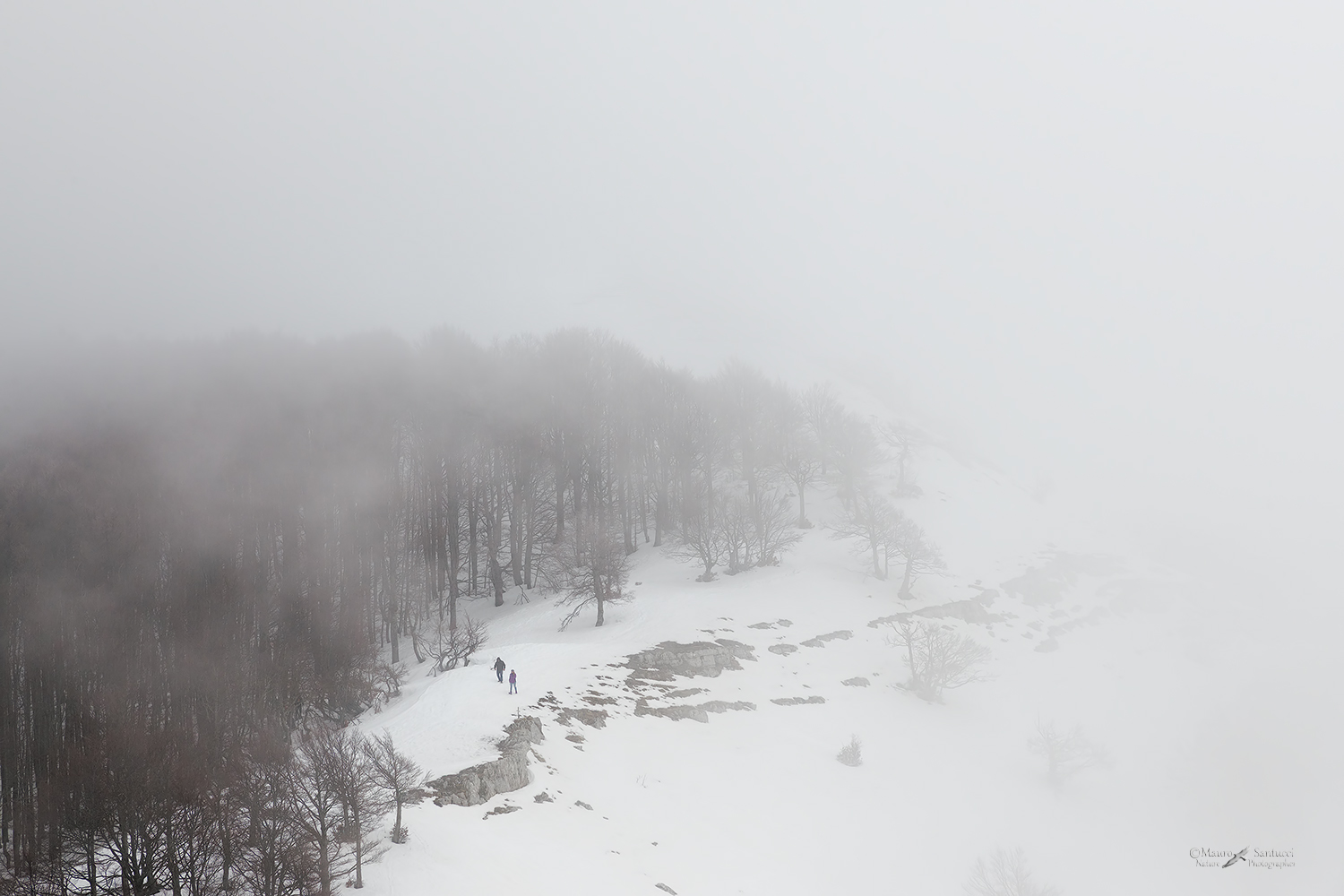 Nel candido silenzio
