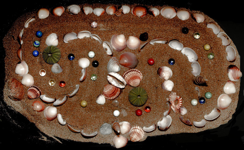 shell beach circuit Formula biglie