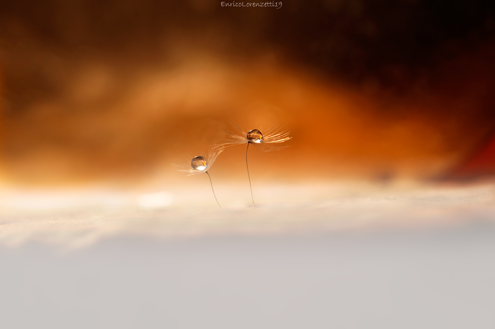 volate oltre le nuvole...