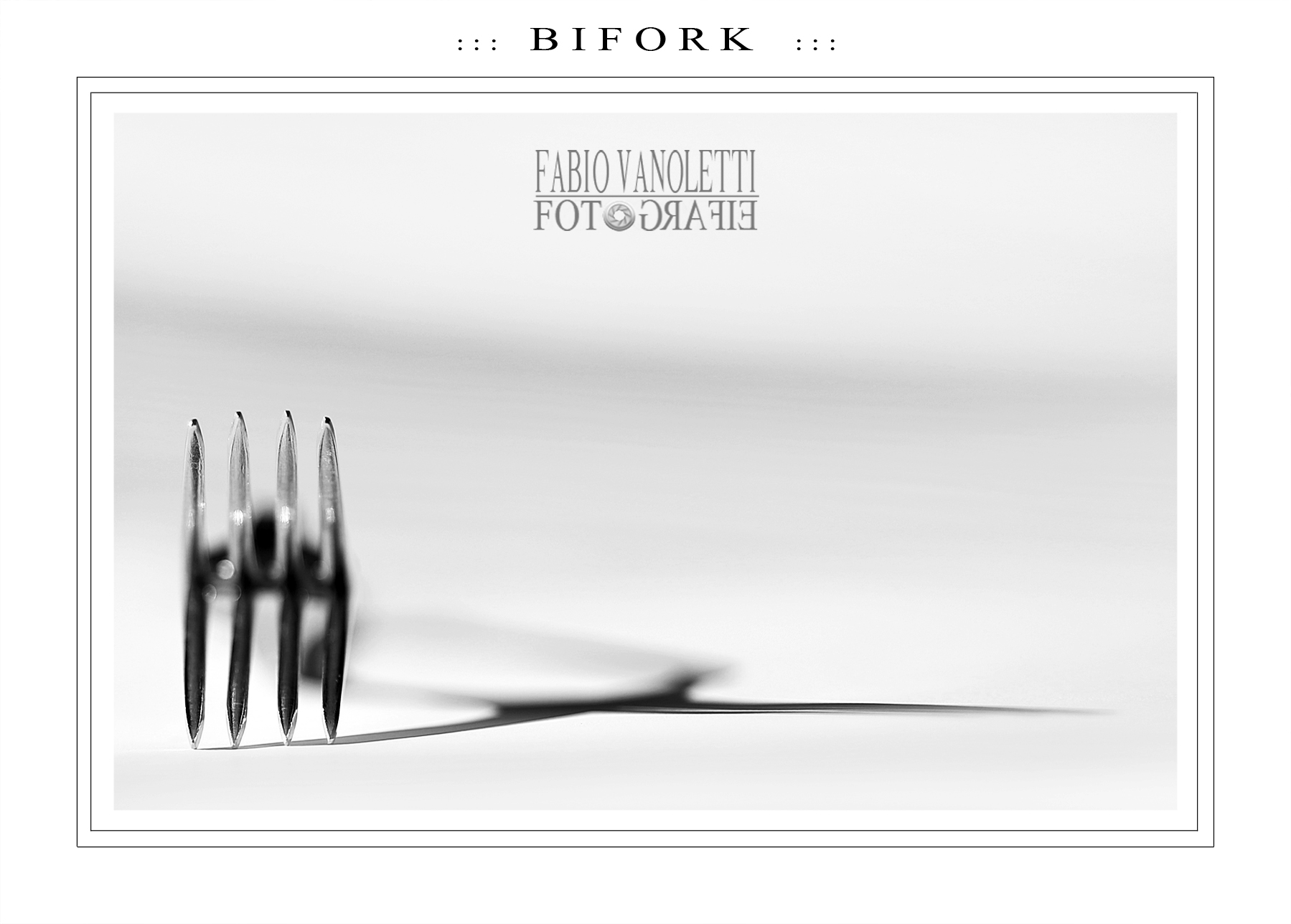 ::: B I F O R K :::
