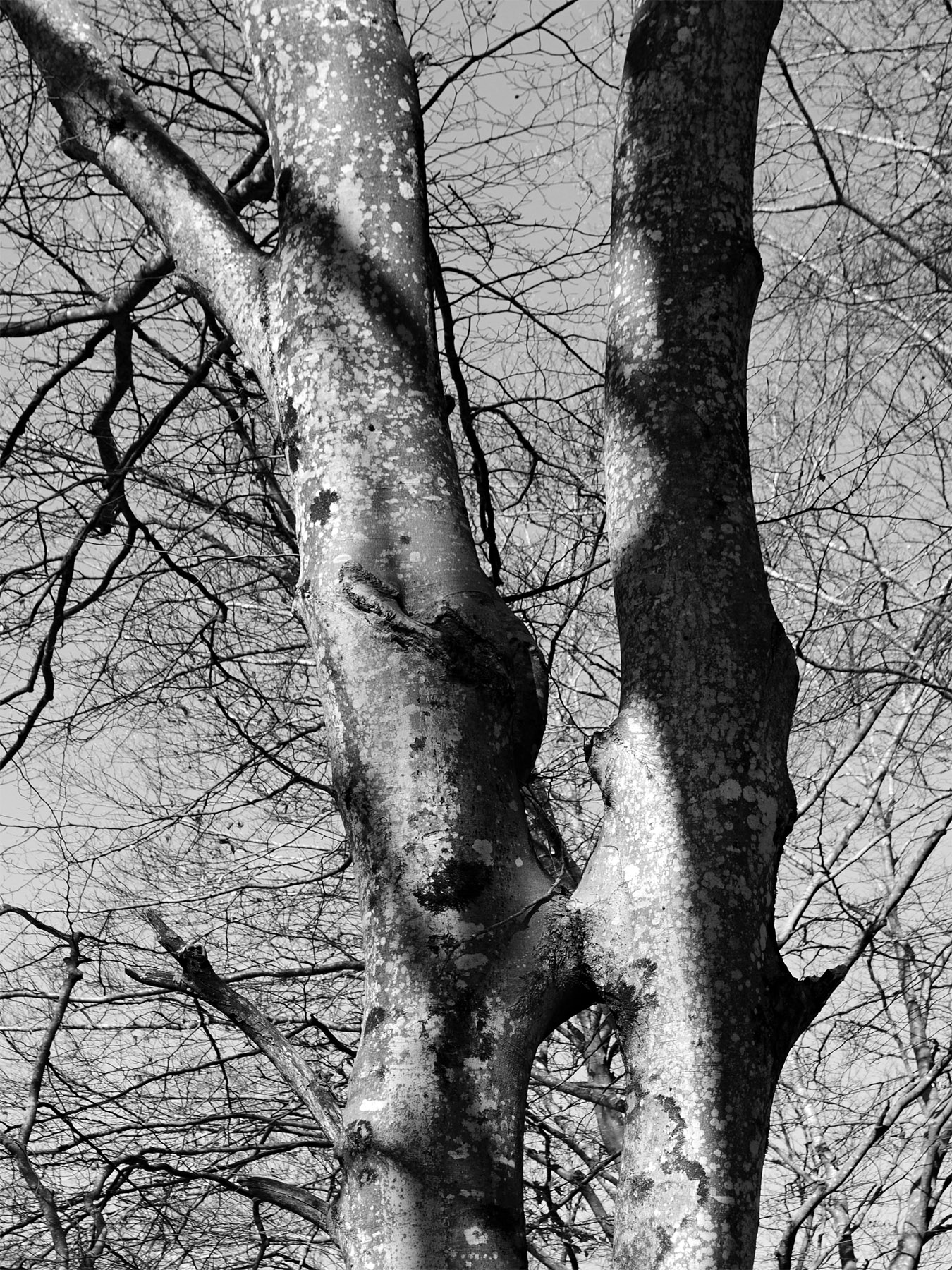 un bacio senza tempo