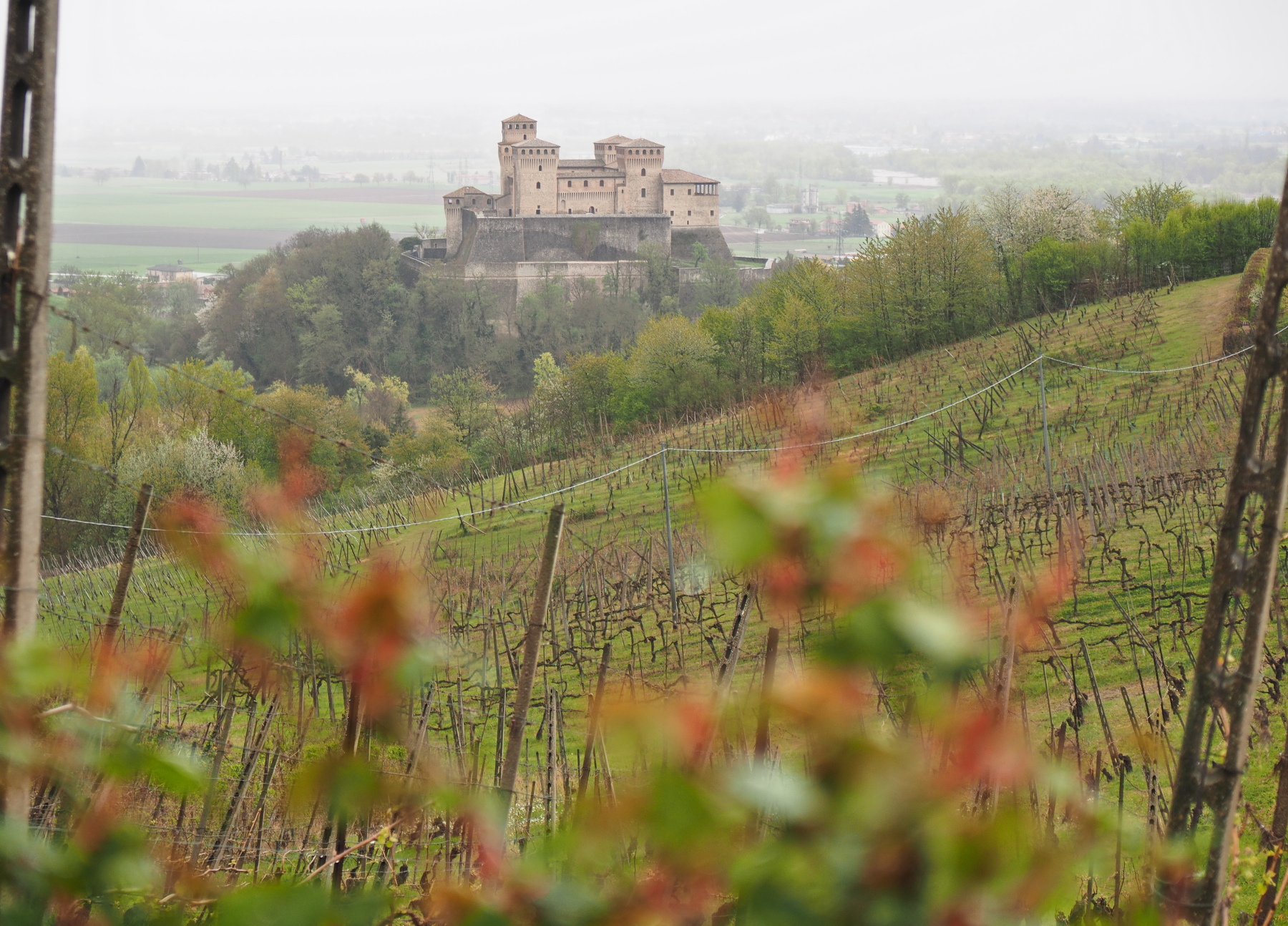 Castello di Torrechiara