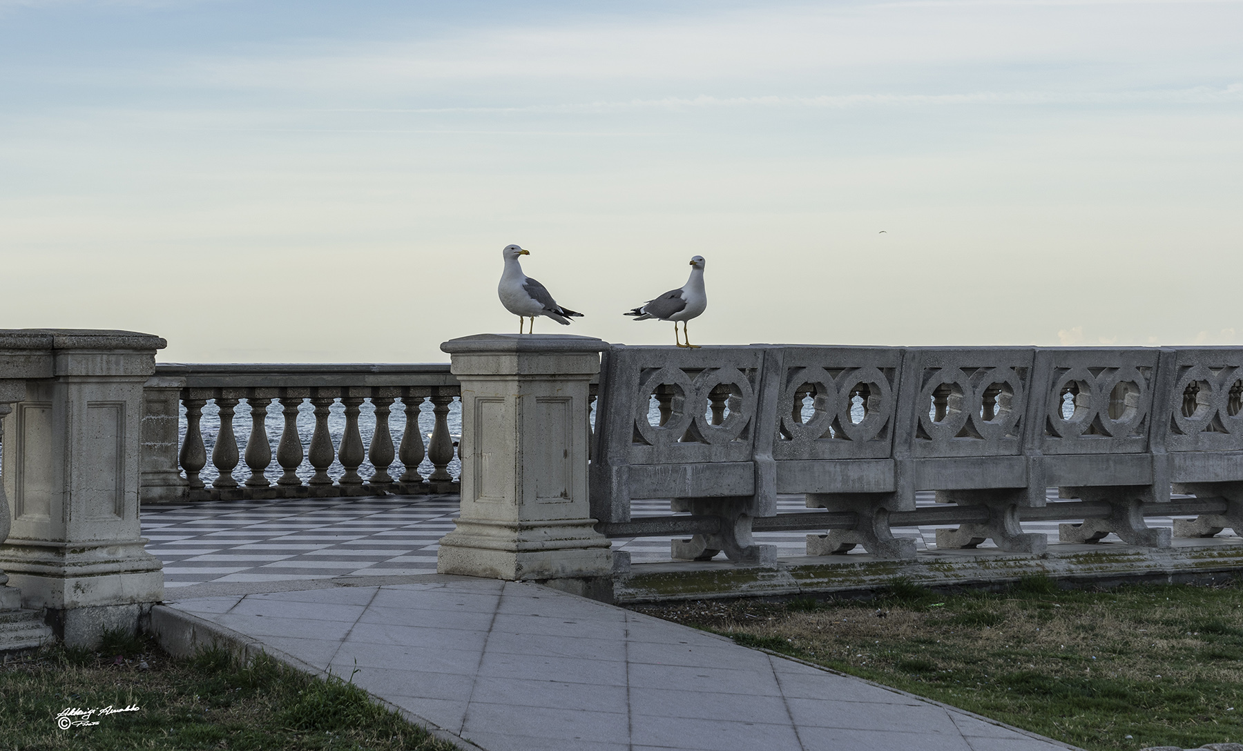 Le mascotte di P.Mascagni.. Il fotografo ci sta riprendendo