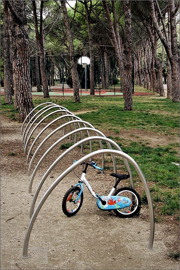 Trieste pineta di Barcola img.048