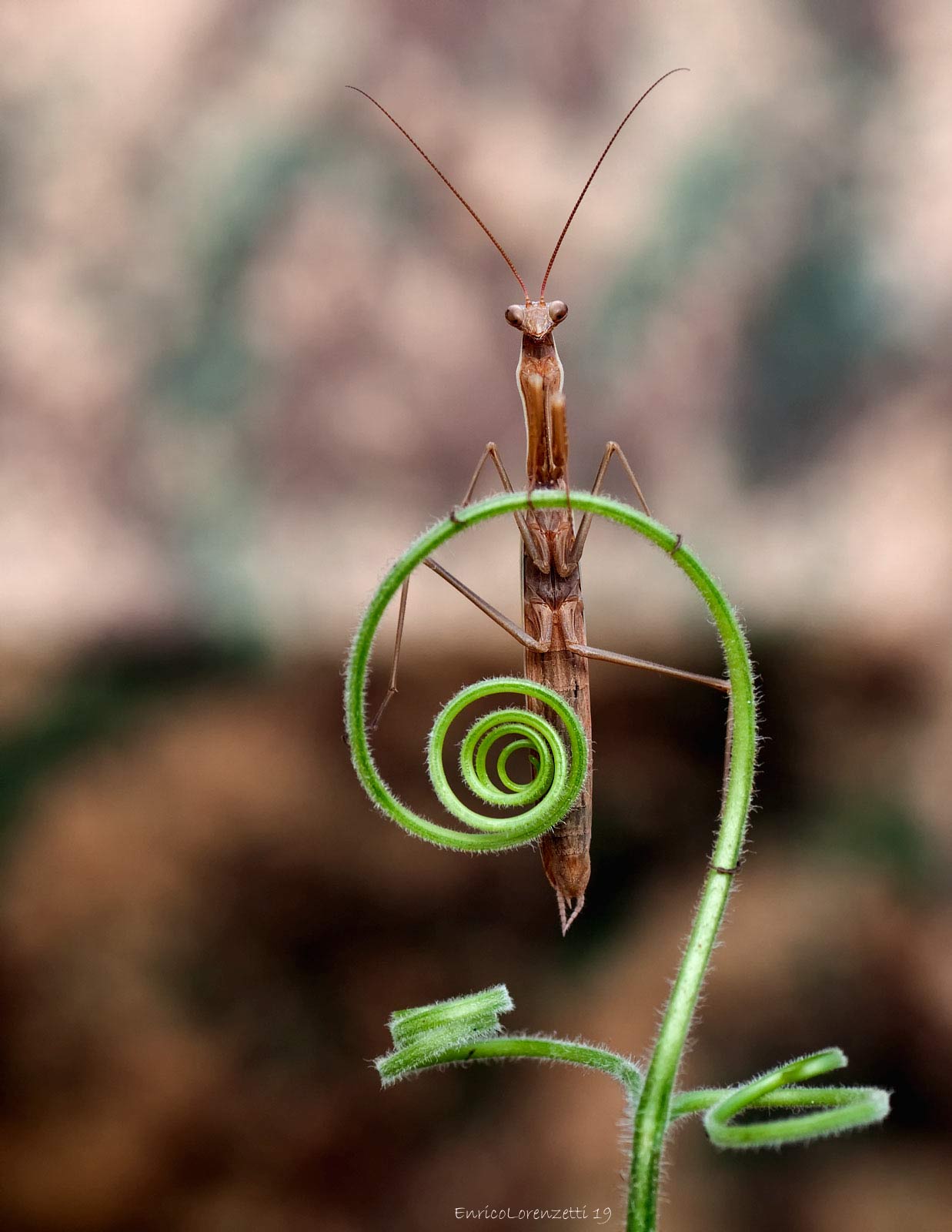 capitano al suo timone