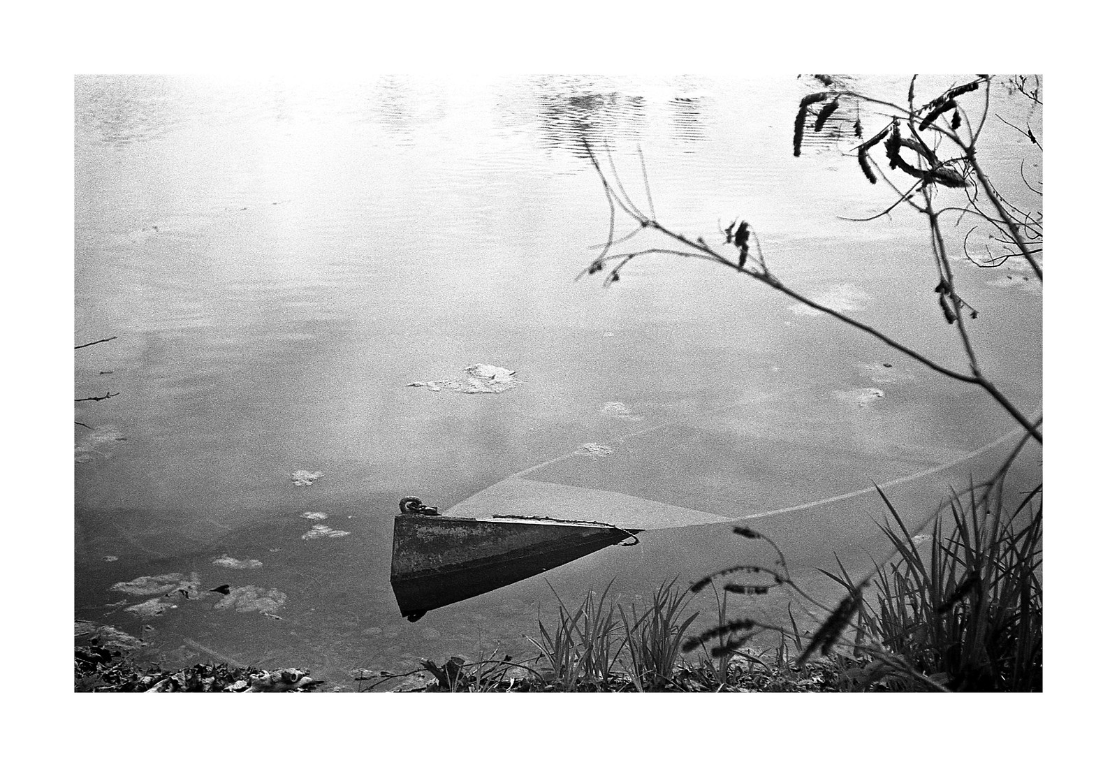 C. Dimitri - S. Tuminelli - M. Theodorakis ;/)