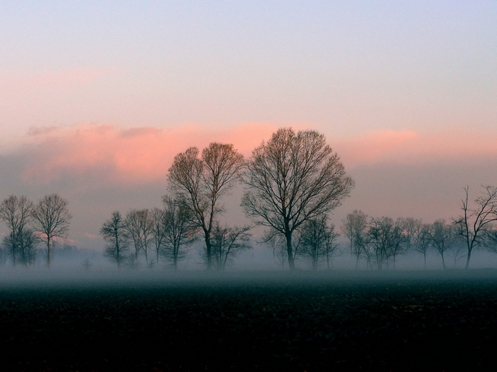 nebbiolina marzolina