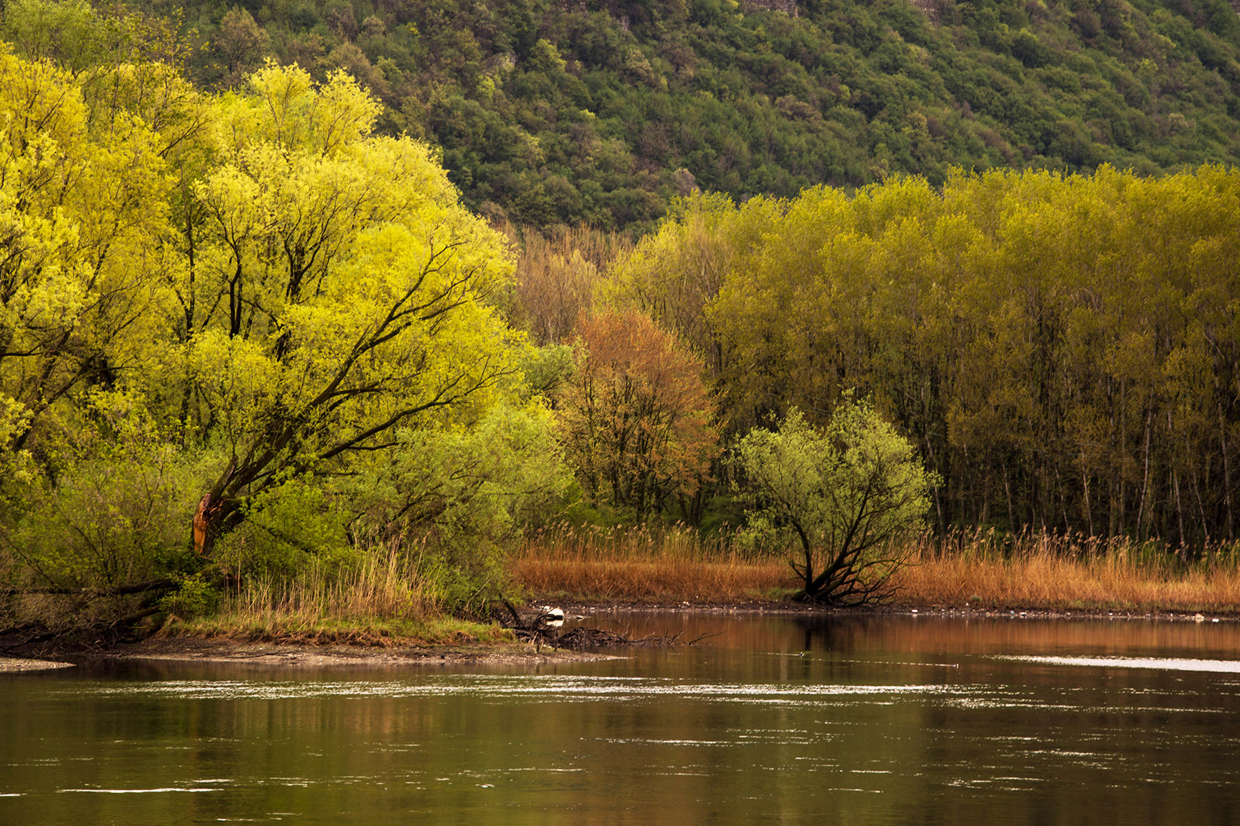 il mio fiume in primavera