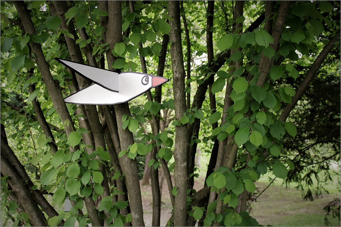 Villa Manin (UD)  img.010